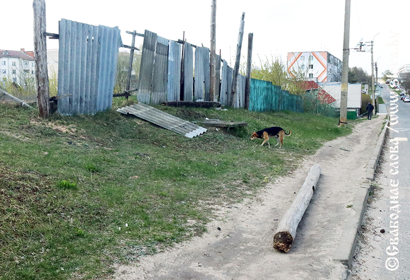 Реальная иллюстрация