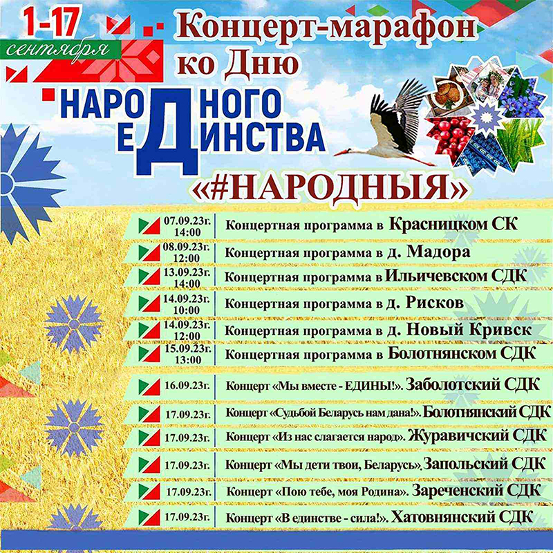 Рогачевский район. Концерт-марафон ко Дню народного единства