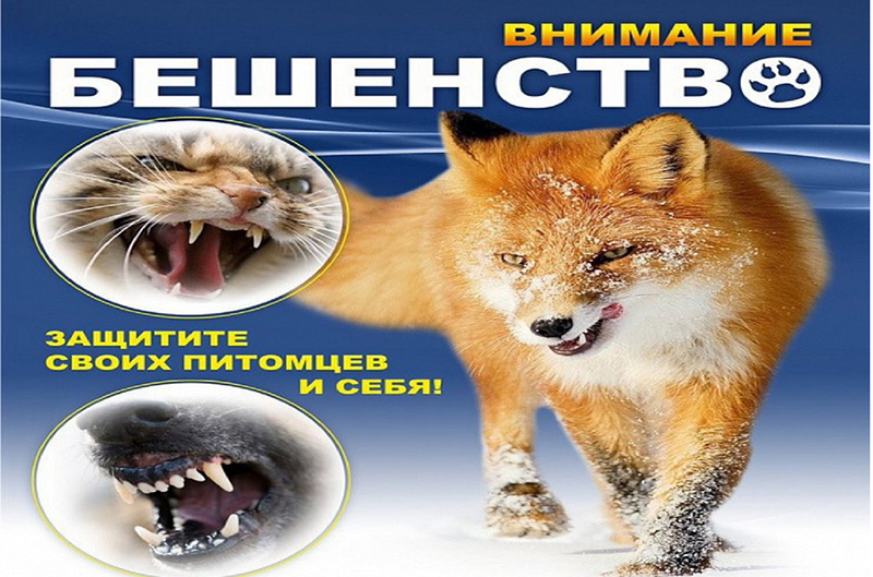 Вылечить нельзя,  предупредить – можно!