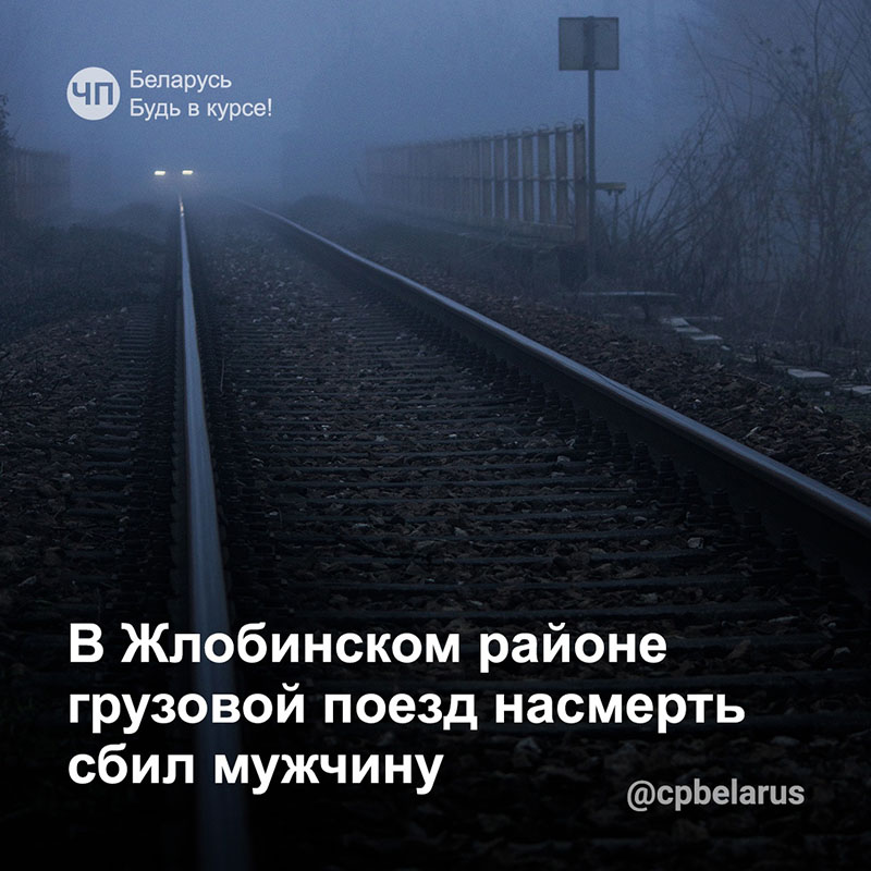 В Жлобинском районе грузовой поезд насмерть сбил рогачевца