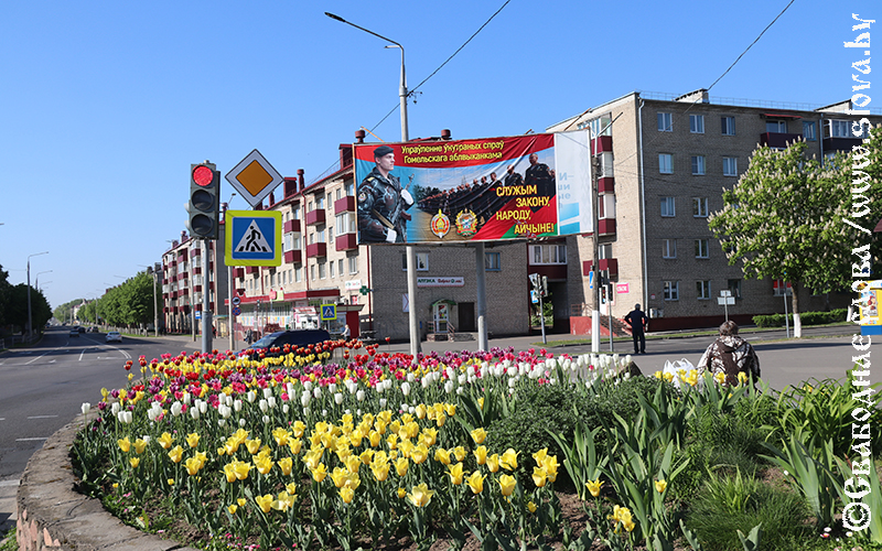 Виды Рогачева