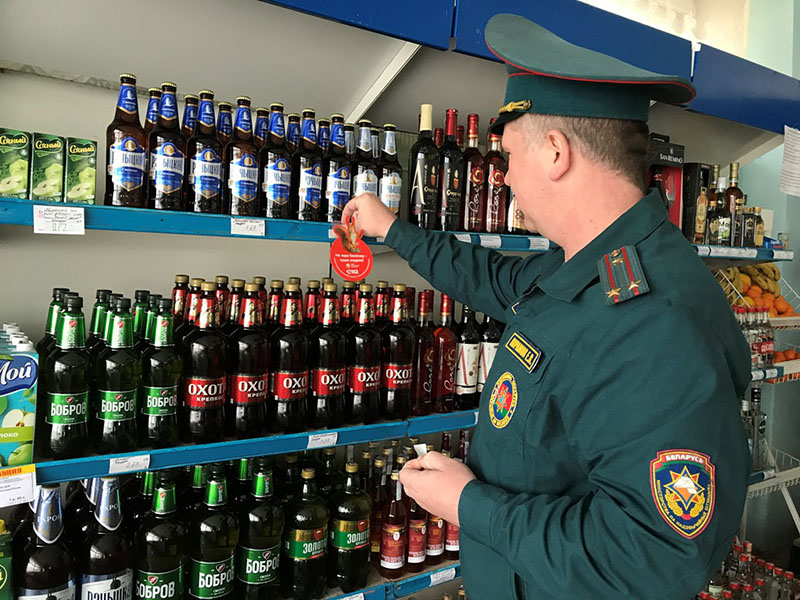 Субъекты профилактики «За безопасность вместе» на Рогачевщине