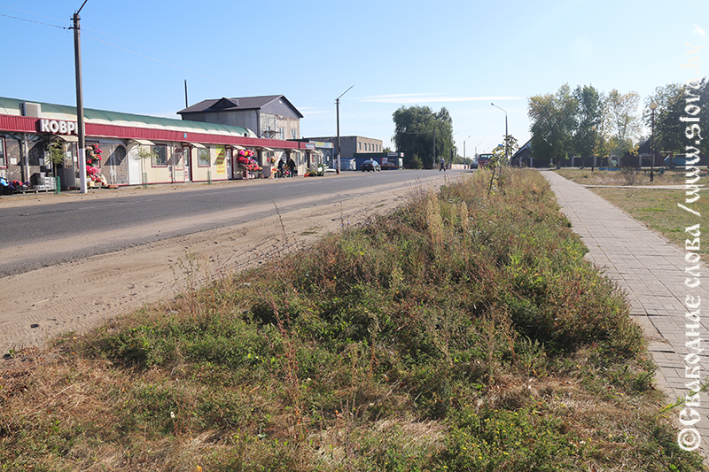 Разнотравье у мини-рынка