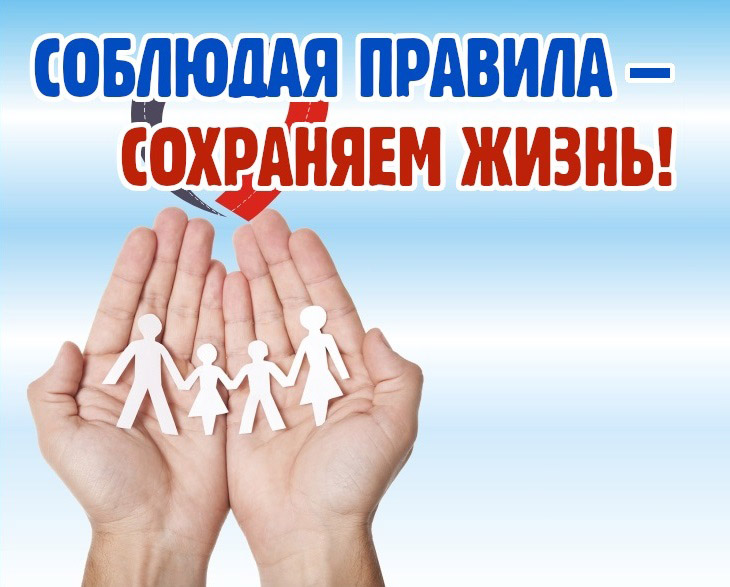 29 января Рогачевская ГАИ проведет единый День безопасности дорожного движения