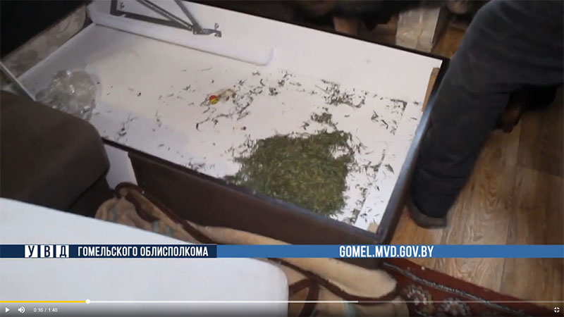 В Гомеле задержан наркодилер, у которого изъято более 5 кг марихуаны