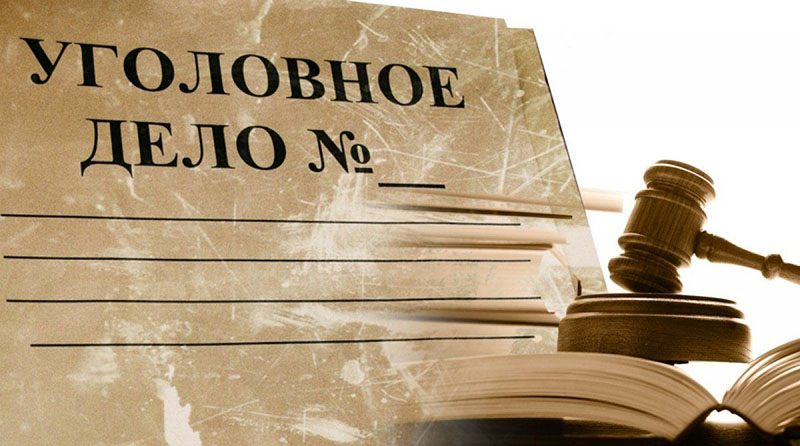 Возбуждено уголовное дело в отношении четверых должностных лиц Рогачевского лесхоза