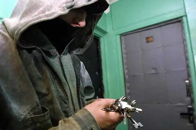Проснулись воры-домушники