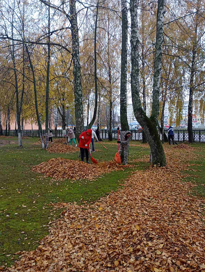 Сделать Рогачевщину еще чище и красивее!