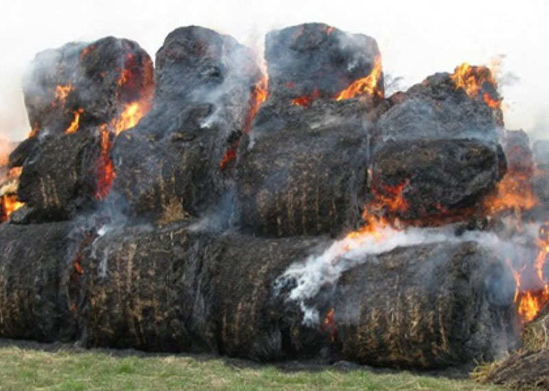 В деревне Рощино Рогачёвского района горели рулоны сена