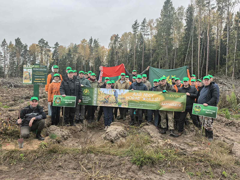 Таможенники показали пример