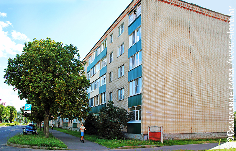 Дом Вольфсона –  человека,  подарившего городу  библиотеку