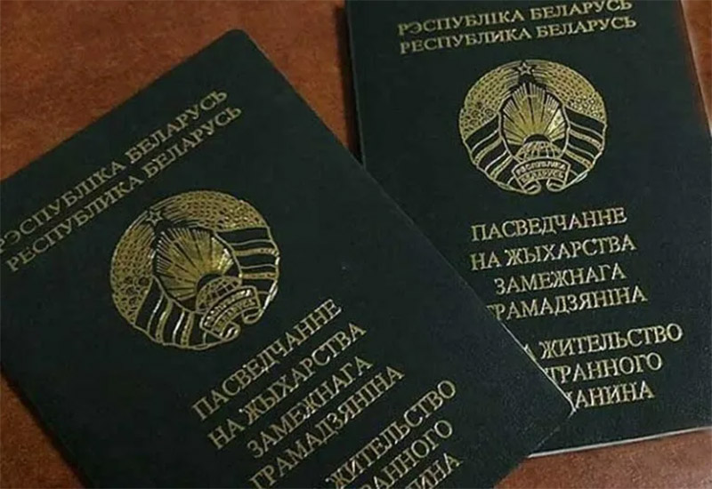 Основания и порядок приобретения гражданства Республики Беларусь иностранными гражданами и лицами без гражданства