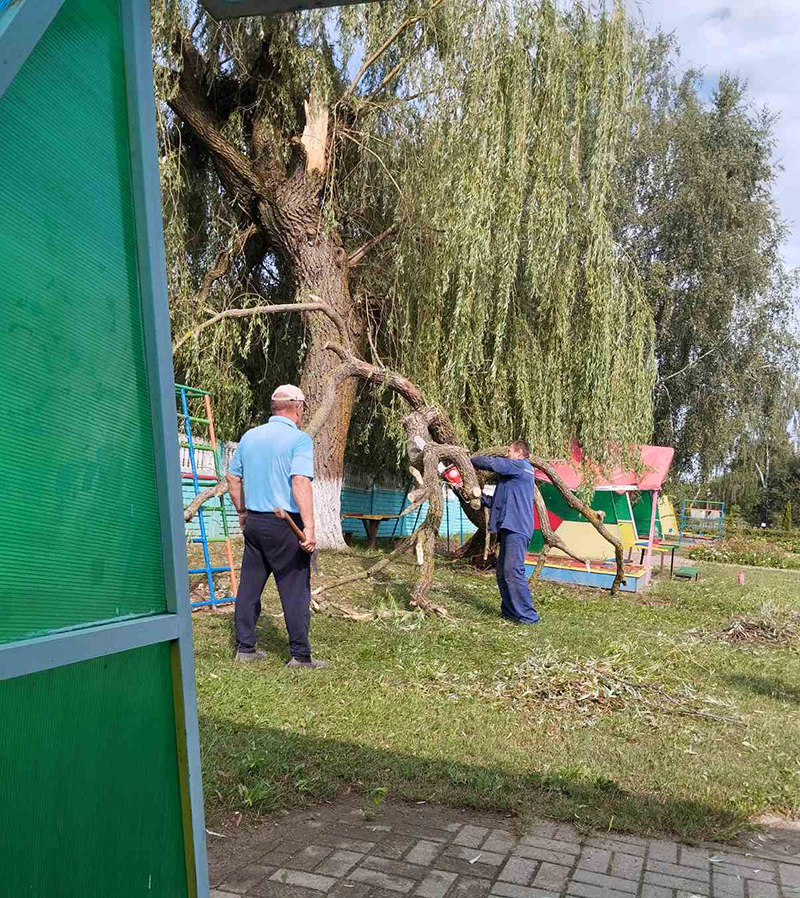Дружной командой