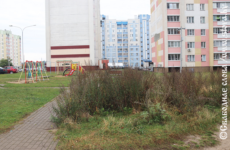 Из вредности или ради креатива?