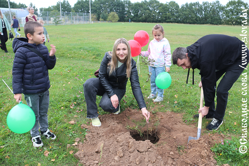 Семейную рябиновую аллею заложили в Рогачеве