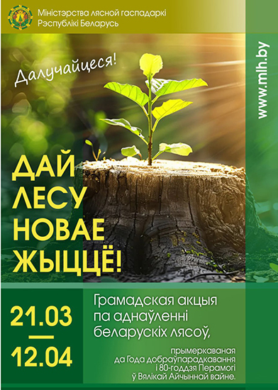 «Дай лесу  новае жыццё!»