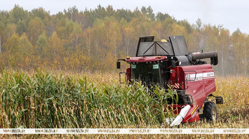 Белорусские аграрии намолотили 10 млн тонн зерна
