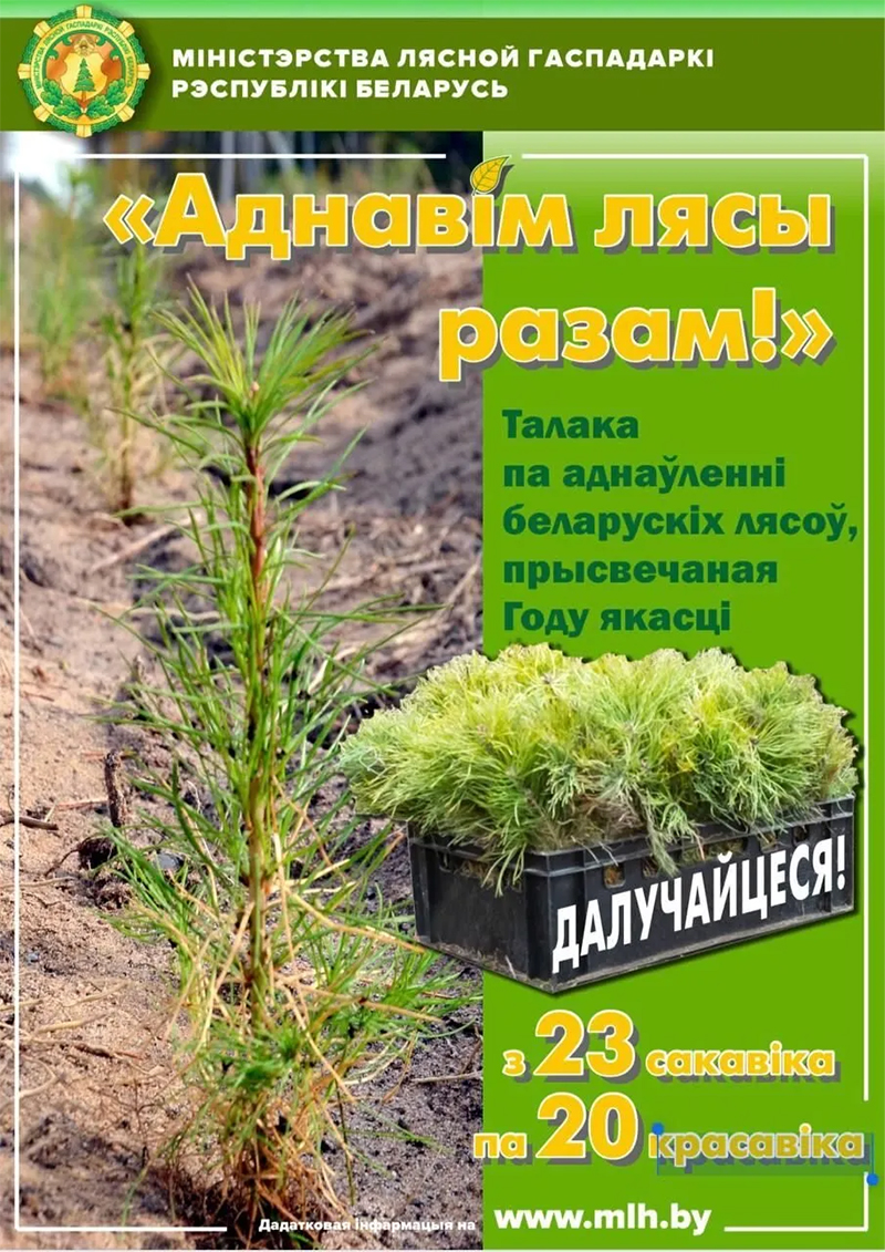 Посади дерево – помоги природе!