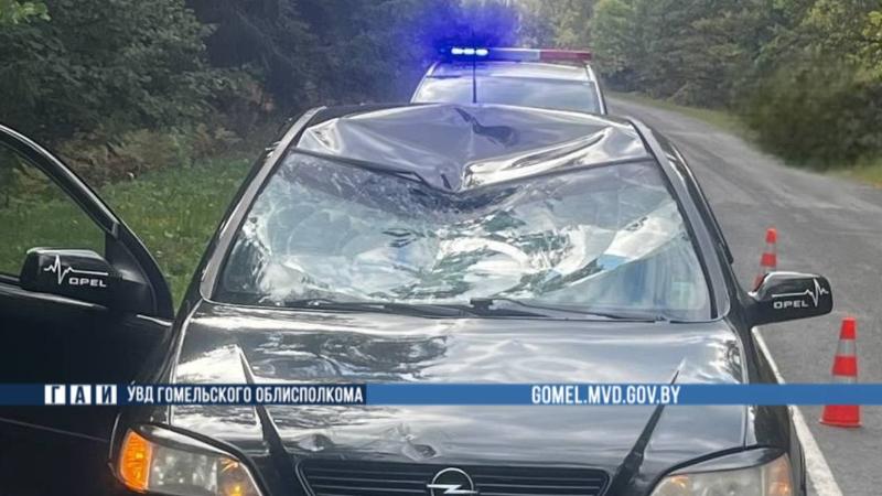ДТП в Рогачевском районе: погиб велосипедист 