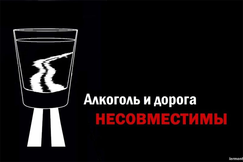 30 декабря в Рогачевском районе пройдет ЕДБДД под девизом: "Алкоголь и дорога несовместимы!"