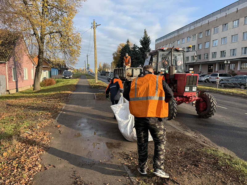 Сделать Рогачевщину еще чище и красивее!