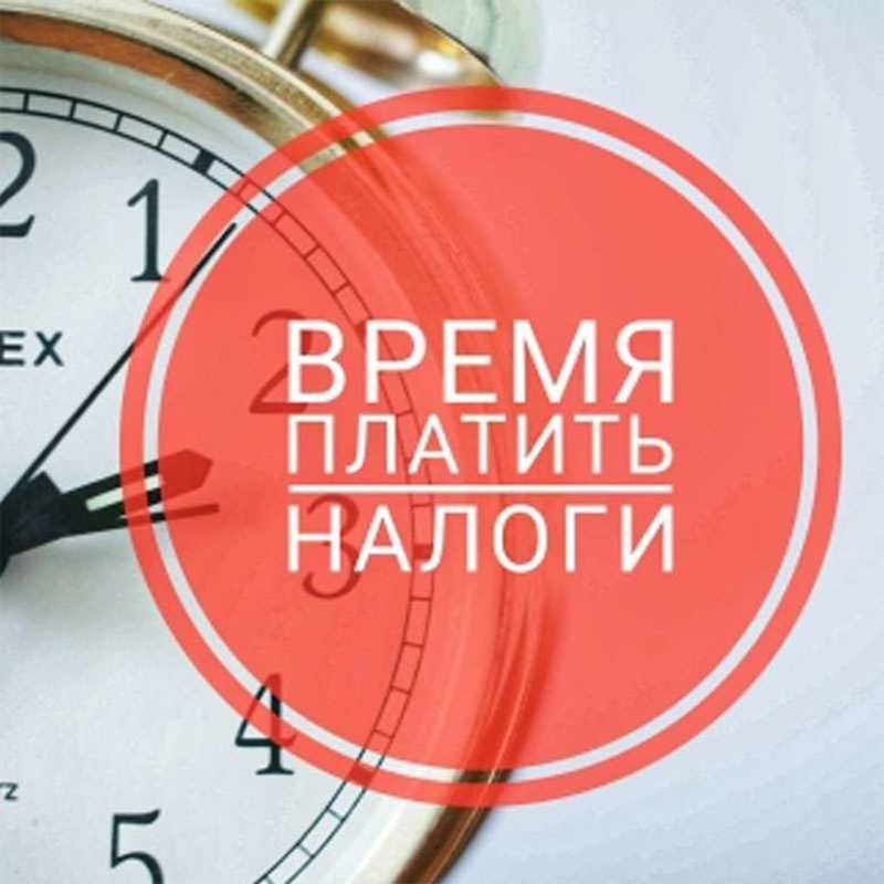 Спешите уплатить налоги! Срок до 15 ноября 2024 года