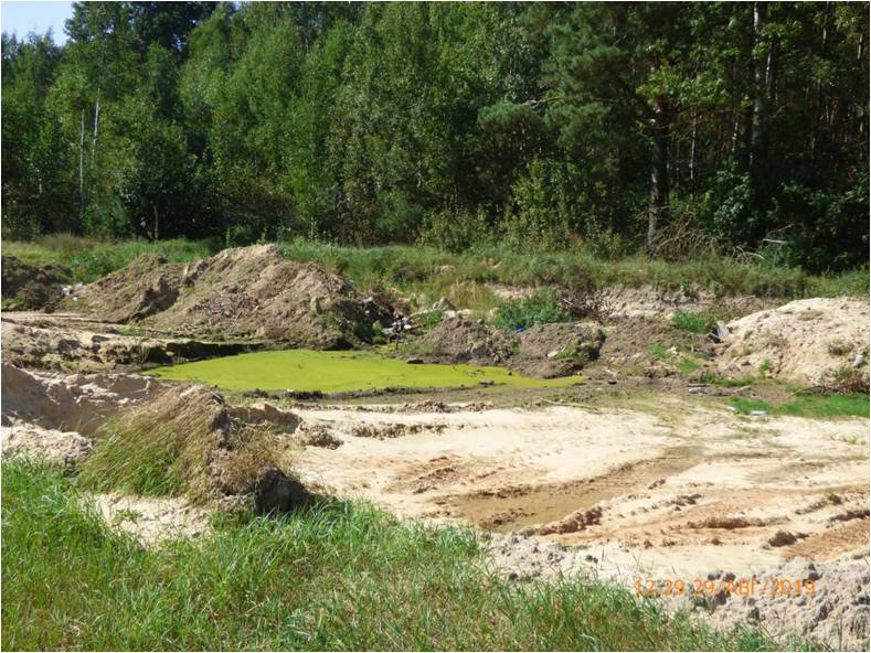 В кассу – 16 300, или Как рогачёвцы  загрязняют землю и воду?.