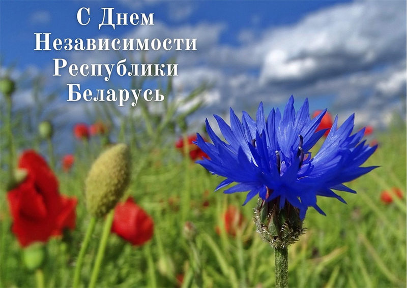 Поздравление  архиепископа Гомельского и Жлобинского СТЕФАНА с Днем независимости Республики Беларусь
