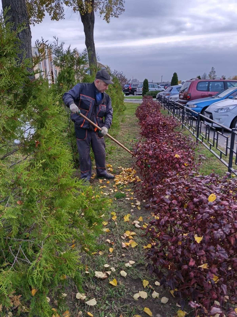 Сделать Рогачевщину еще чище и красивее!