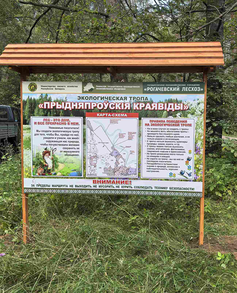 Место единения с природой.  На Рогачевщине создают уникальный дендропарк