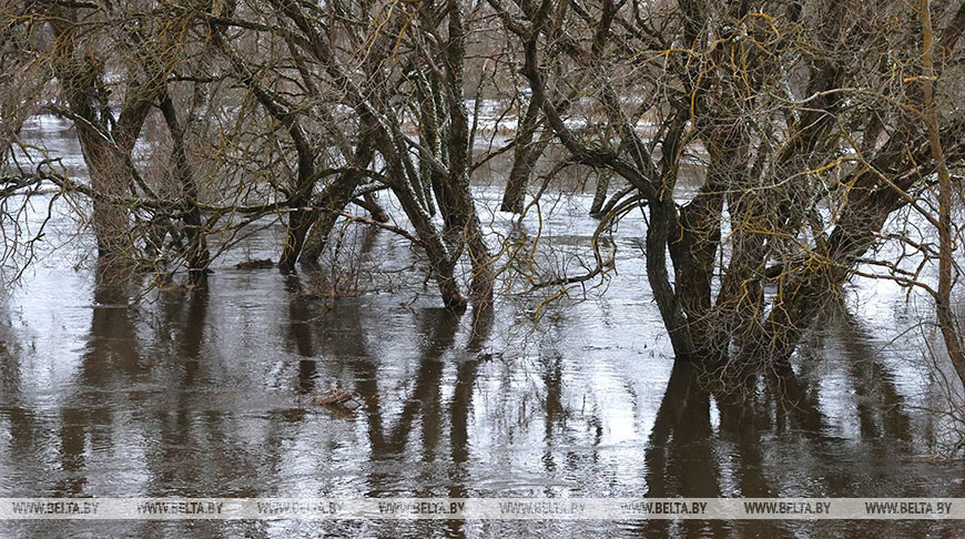 Выход воды на пойму рек зафиксирован в отдельных районах Гомельской области