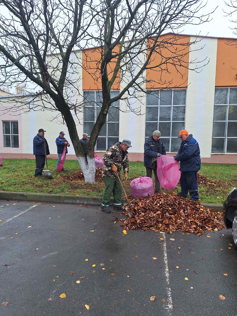 Сделать Рогачевщину еще чище и красивее!
